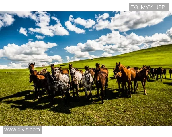 马内的传奇之路:从非洲草原到欧洲绿茵场的辉煌历程 马内的传奇之路:从非洲草原到欧洲绿茵场的辉煌历程