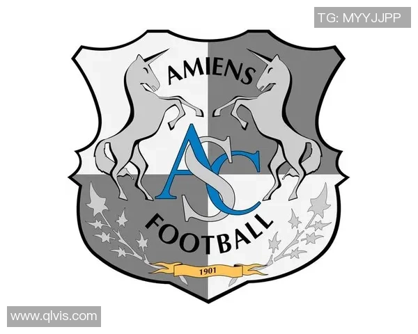 尼姆对亚眠比赛分析与推荐策略分享助你赢得竞猜胜利