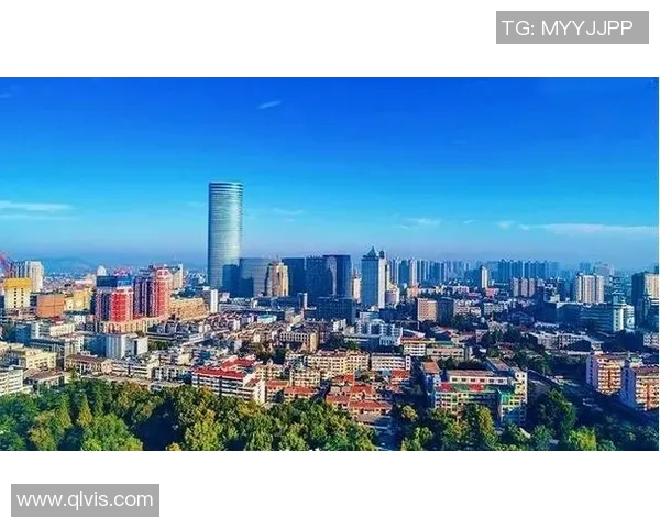 上海与深圳的城市魅力对比探讨未来发展潜力与机遇