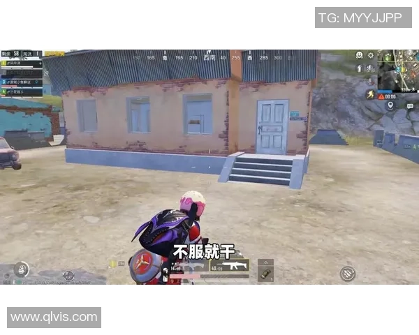 专访和平精英制作人杨磊深度剖析游戏成功背后的秘密与策略